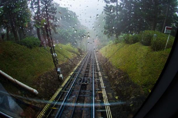 <strong>槟榔</strong>树小山和雨,<strong>槟榔</strong>树,马来西亚