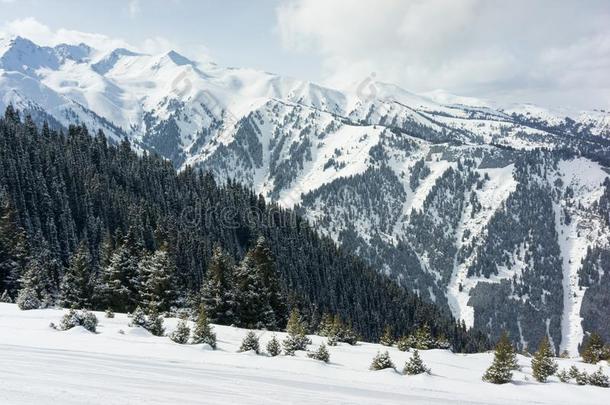 滑雪求助