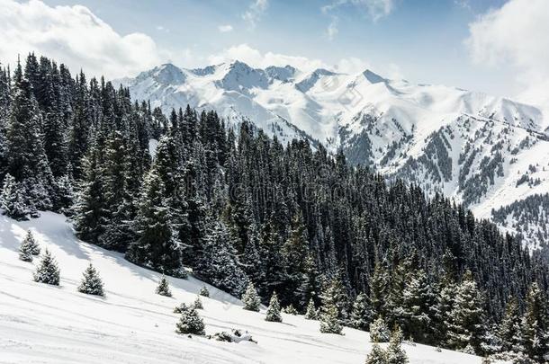 滑雪求助