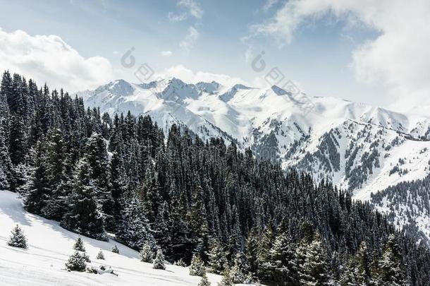 滑雪求助