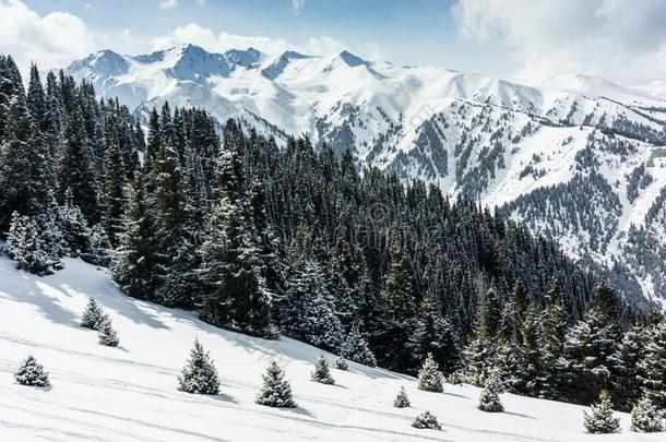 滑雪求助