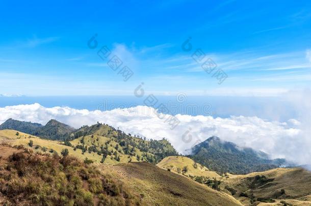 在上面指已提到的人云风景关于山山谷.登上林贾尼.locatoratoutermarker外指点标<strong>定位器</strong>