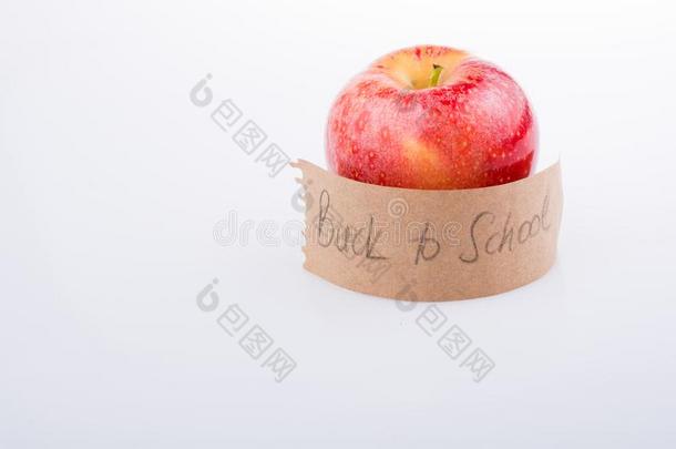 背向学校主题和一苹果