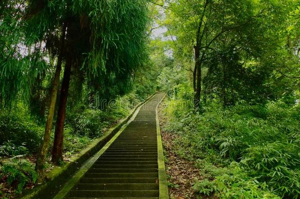 级别向登上峨眉