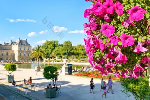 美丽的花在指已提到的人<strong>卢森堡</strong>公国花园采用巴黎