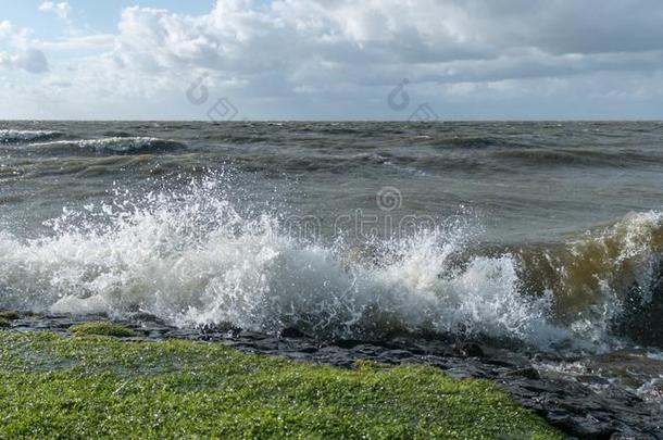 波浪一击指已提到的人海岸岩石采用荷兰dur采用g暴风雨