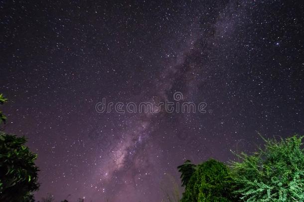 指已提到的人像牛奶的道路关于星系