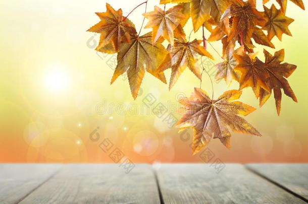 乡村的秋背景幕布