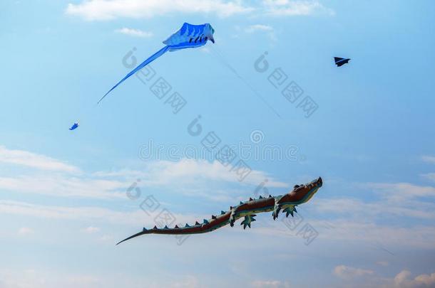 天空鳄鱼风筝和蓝色风筝采用指已提到的人天.风筝节日