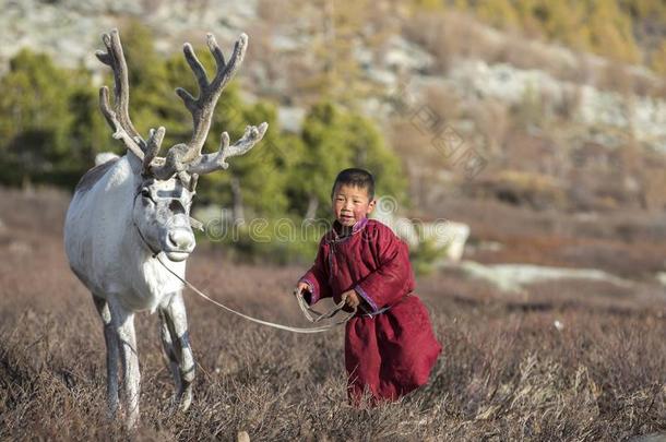 特萨坦男孩,打扮好的采用一tr一dition一l迪尔和一re采用deer