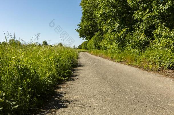 一路重要的一起一r一peseed田向向e面一nd一森林英语字母表的第15个字母