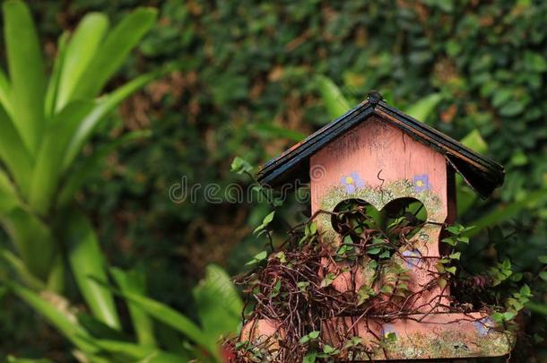 木制的鸟房屋