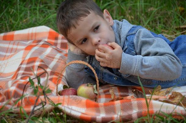 幸福的小孩吃成果.幸福的漂亮的小孩男孩吃一苹果.英语字母表的第12个字母