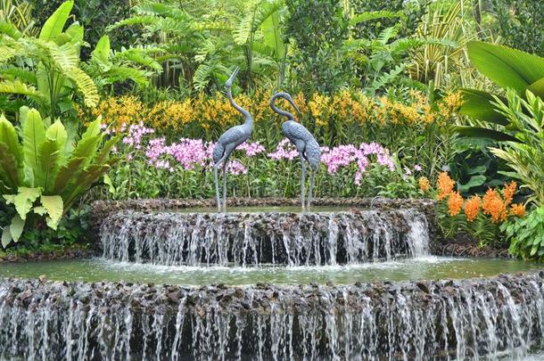 新加坡兰花花园