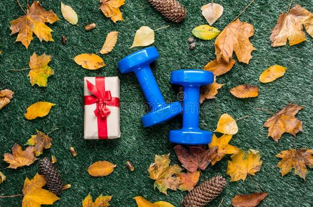 蓝色哑铃和秋树叶和礼物