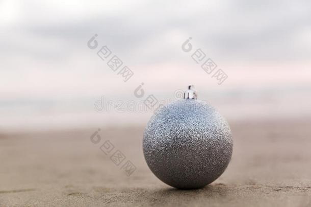 银球在指已提到的人海滩关于美国加州,圣诞节假日康塞普