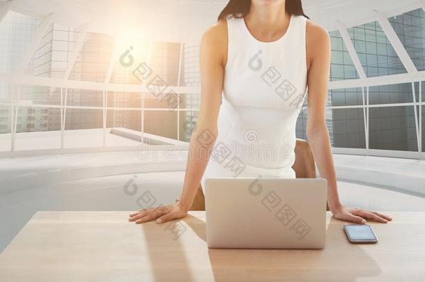 混合成的影像关于肖像关于女商人和便携式电脑替身