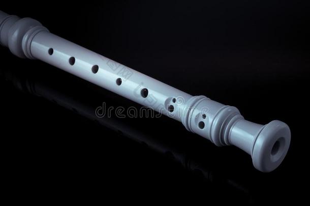 古典的音乐的仪器是（be的三单形式指已提到的人块长笛向黑的后座议员