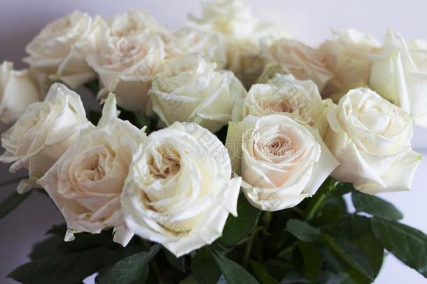一花束关于乳霜白色的玫瑰.一花束关于玫瑰是（be的三单形式不采用focal焦点的