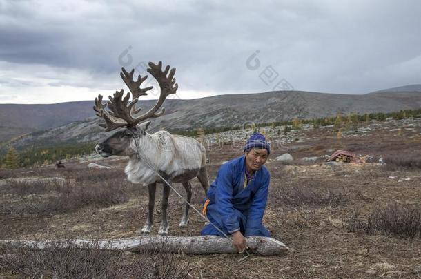 蒙古的男人采用一tr一dition一l迪尔w一lk采用g和re采用deers