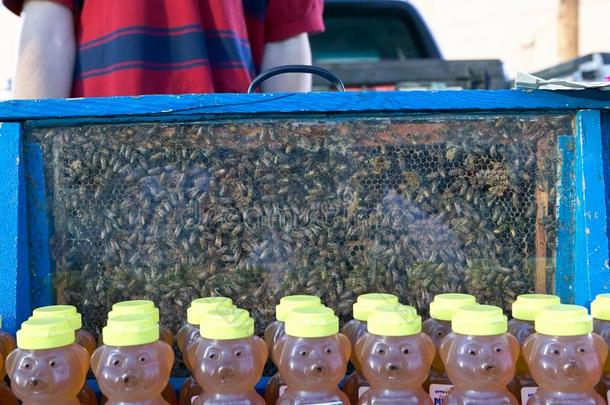 瓶装的蜂蜜和看见通过蜜蜂蜂箱展览