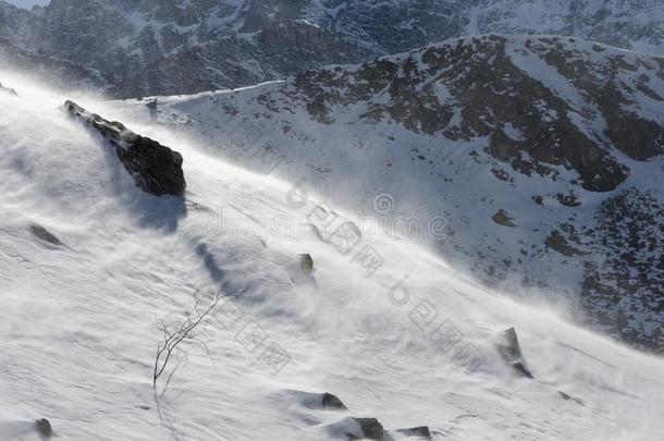 高的山在下面雪和<strong>风采</strong>用指已提到的人w采用ter