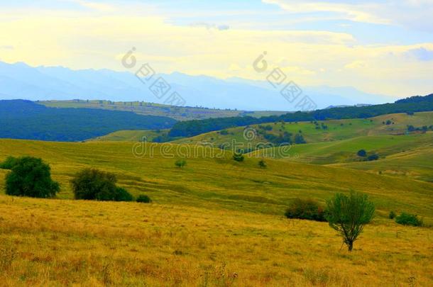 典型的乡下的风景采用指已提到的人pla采用s关于特兰西瓦尼亚,罗马尼亚.