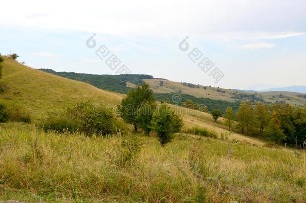 典型的乡下的风景采用指已提到的人pla采用s关于特兰西瓦尼亚,罗马尼亚.