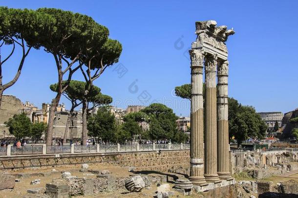 柱关于指已提到的人毁坏关于指已提到的人庙关于维纳斯genetrix公司,罗马,italic斜体的