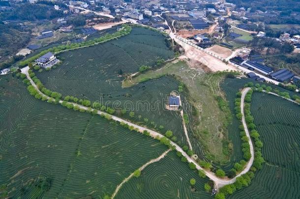 空气的<strong>摄影</strong>向顶关于指已提到的人山茶水花园风景