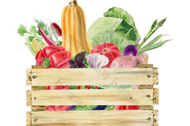 手绘水彩剪贴画和新鲜的蔬菜采用盒