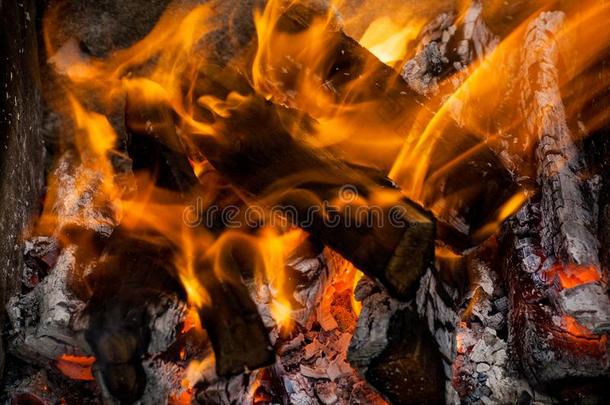 木材采用火