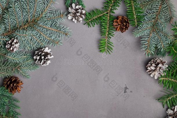 圣诞节样板和冷杉树枝和松树圆锥细胞