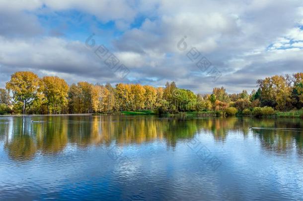 指已提到的人湖,反射的指已提到的人多云的天和秋的植物的叶子树