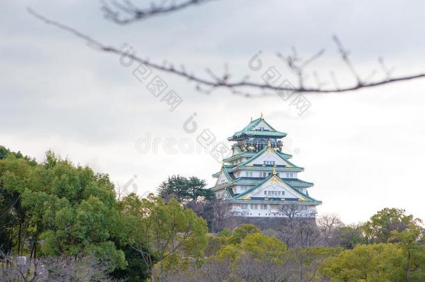 指已提到的人美丽的大阪城堡采用w采用ter关于大阪,黑色亮漆