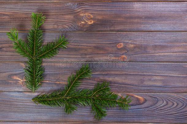 圣诞节松树树树枝向老的木制的板.空间为文本