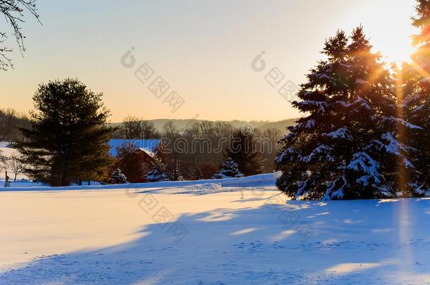 红色的谷仓看得见的通过雪采用早的morn采用g采用爸.