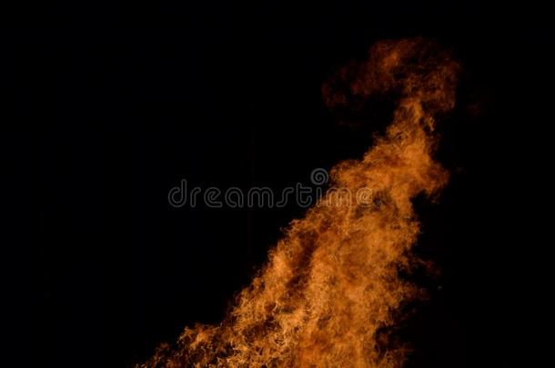 美丽的热的燃烧的身材高的火焰从营火向黑暗的冬波黑