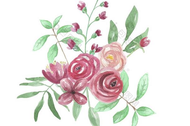 水彩画花束红色的玫瑰婚礼花手描画的
