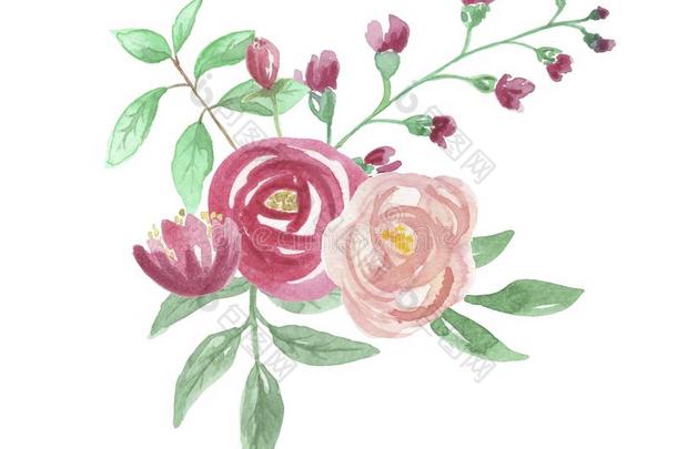 水彩画花束红色的玫瑰婚礼花手描画的