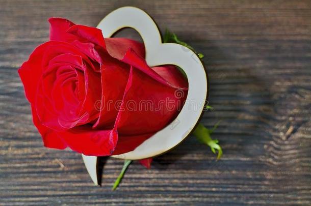 红色的玫瑰和木制的心.为爱好者.玫瑰和心向指已提到的人令马停住的声音