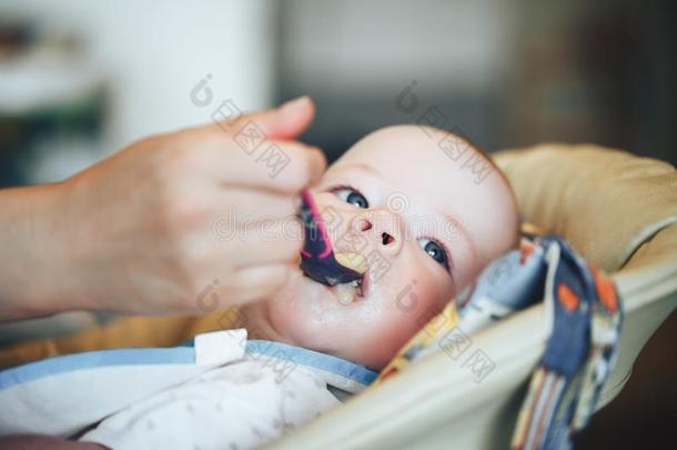 婴儿婴儿小孩男孩六月老的是（be的三单形式吃