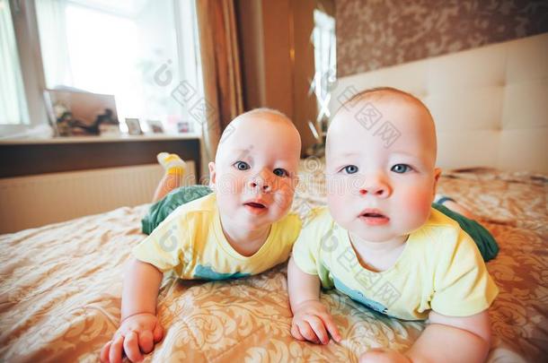 婴儿婴儿小孩孪生儿之一兄弟们六月老的在家向指已提到的人英语字母表的第2个字母