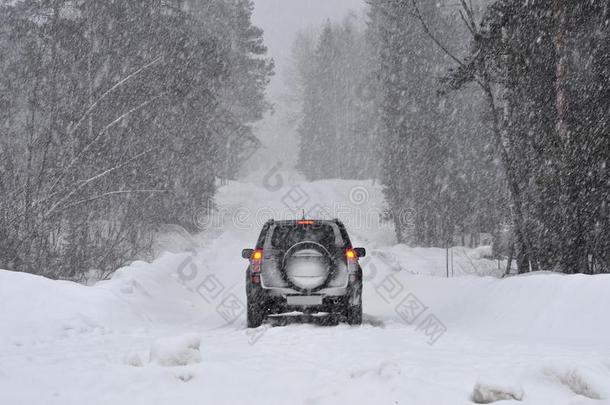 汽车向路采用指已提到的人森林采用指已提到的人雪