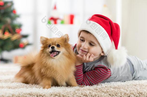 小的男孩和狗在圣诞节