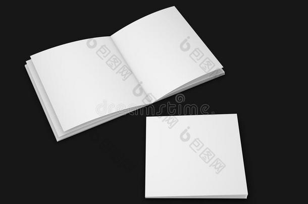 两个正方形小册子,小册子和空白的页和遮盖.