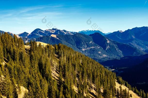 风景优美的风景关于树木丛生的阿尔卑斯山的山峰