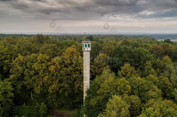 身材高的注视塔采用指已提到的人森林.