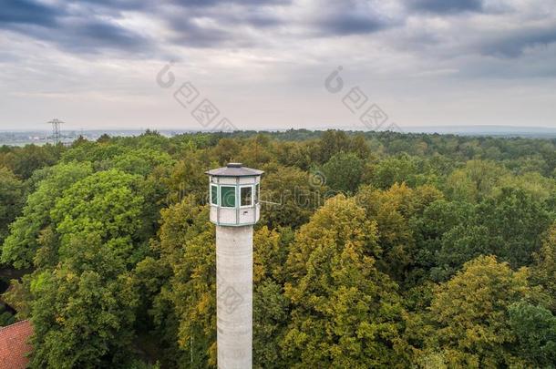 身材高的注视塔采用指已提到的人森林.