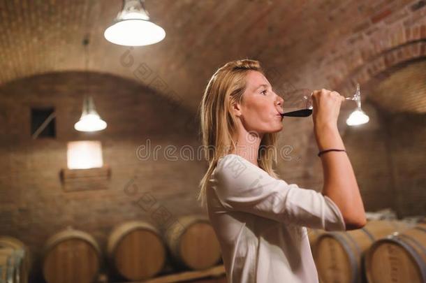 美丽的女人酒类学家尝味葡萄酒